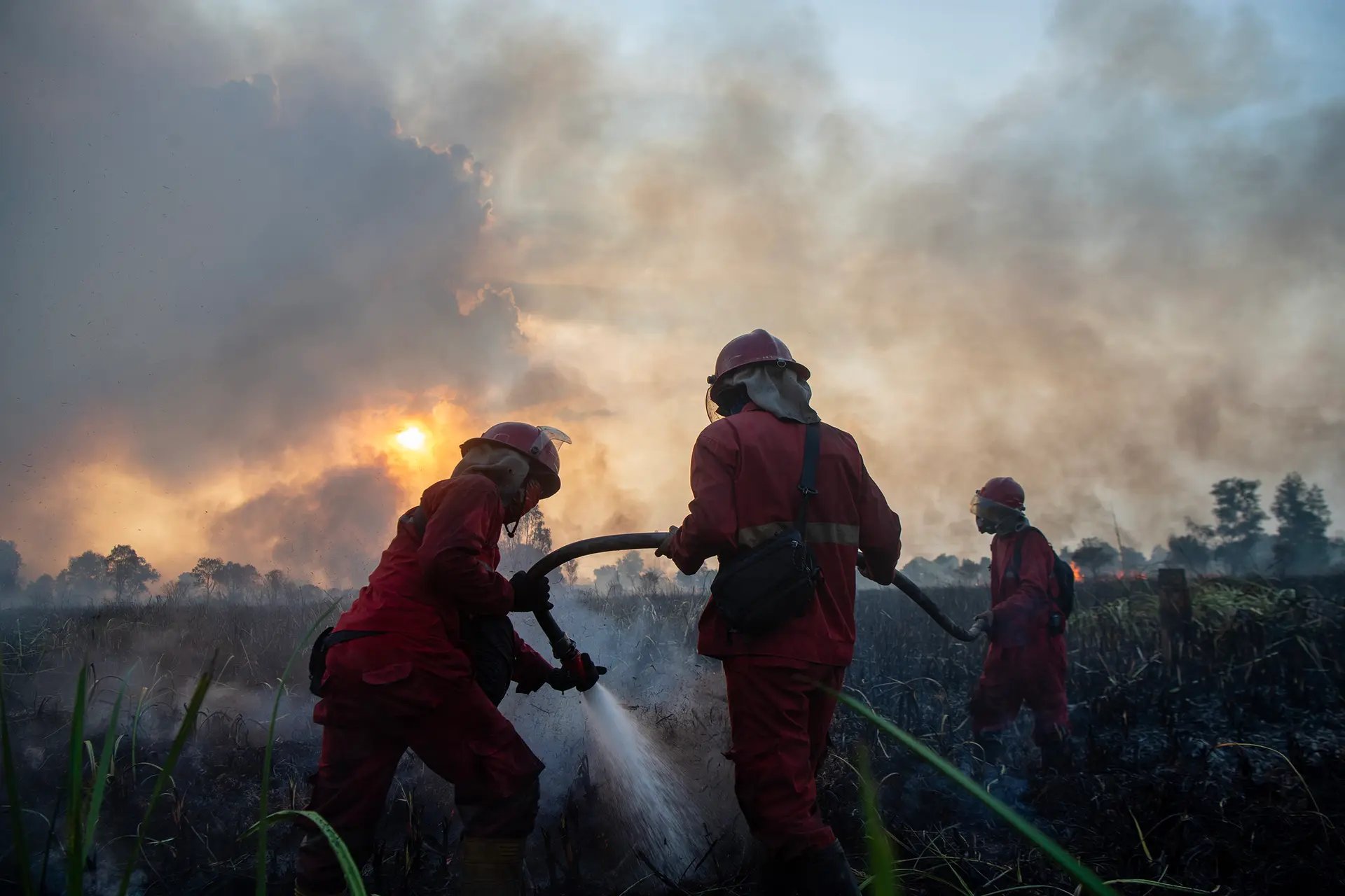 Dampak Karhutla, Dinkes Sebut 9.313 Warga Palembang Positif ISPA