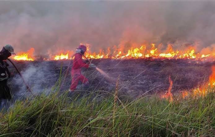 BMKG Catat 198 Hotspot di Riau, Karhutla Melanda Tiga Wilayah