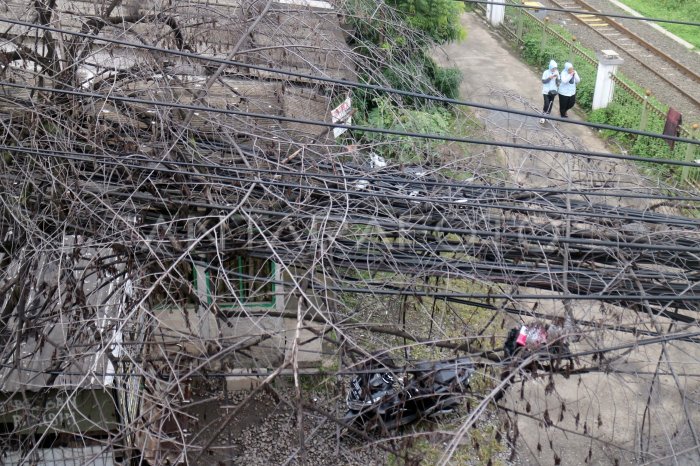 Soal Kabel Semrawut di Kabupaten Bogor, Agus Pambagio: Itu Model Lama, Jika Ada Niat Harus Dirapihkan Secara Bertahap