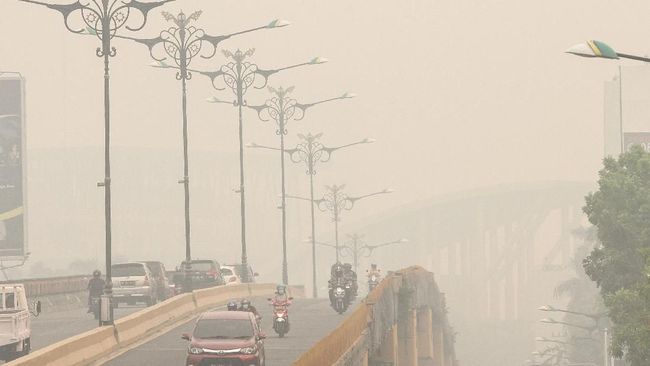 Asap Karhutla Kalimantan Terdeteksi hingga Jakarta, Masyarakat Dihimbau Pakai Masker