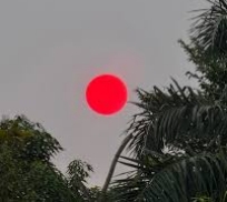 Heboh Matahari Bak Bola Merah di Palangkaraya, BMKG : Pengaruh Asap Karhutla
