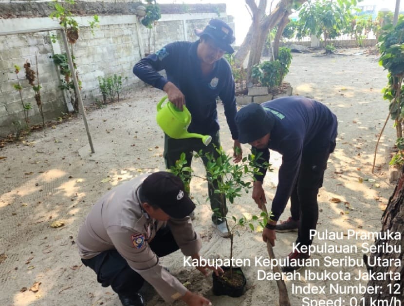Bhabinkamtibmas Pulau Panggang dan Pulau Pramuka Giat Tanam Pohon Demi Lingkungan Bersih dan Sehat