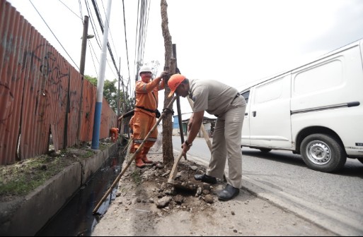 Jalan Raya Logistik Ditanami 35 Pohon Tabebuya