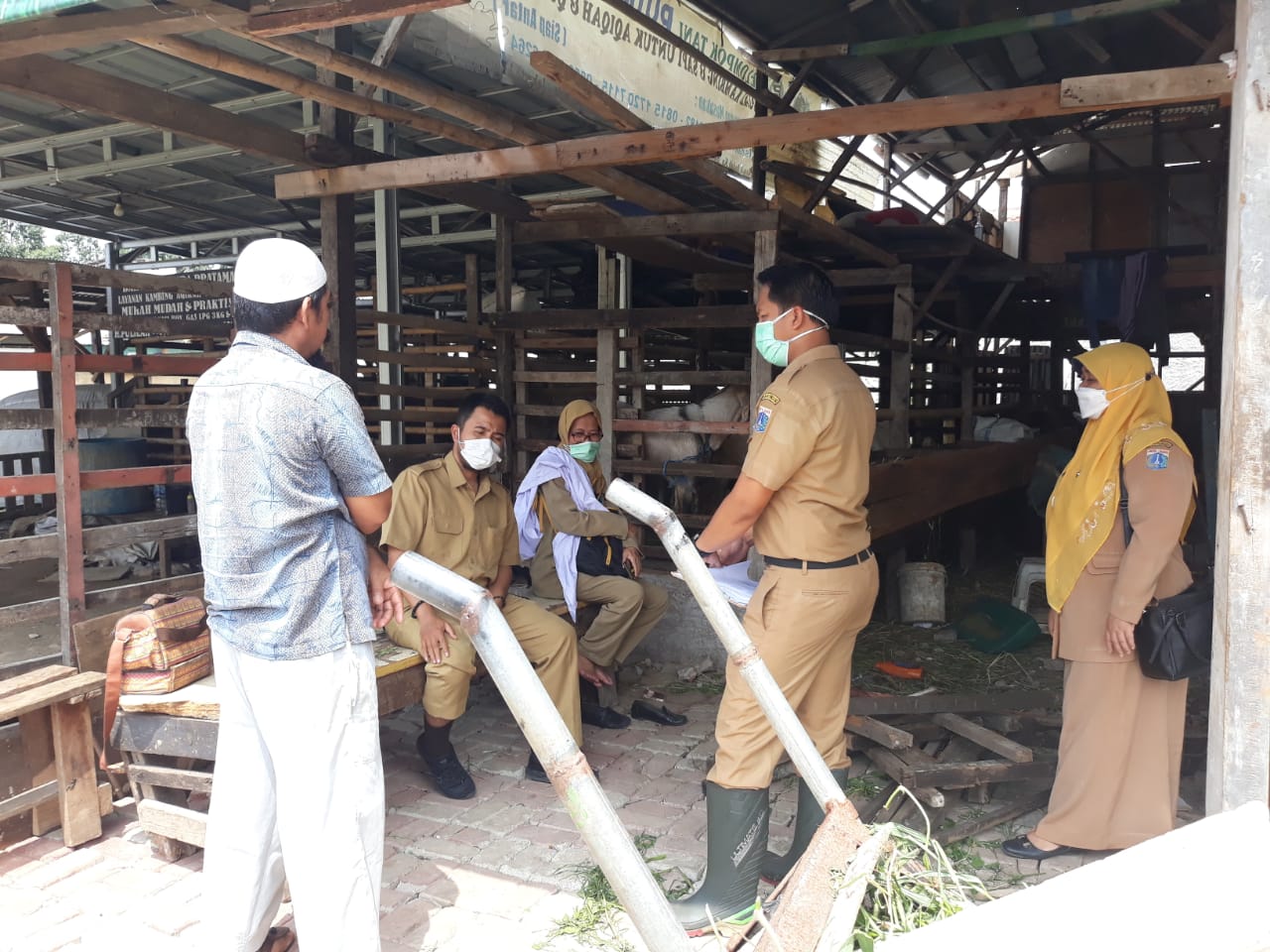 Cegah Penularan PMK, Pedagang Hewan di Jakut Dihimbau Patuhi SOP