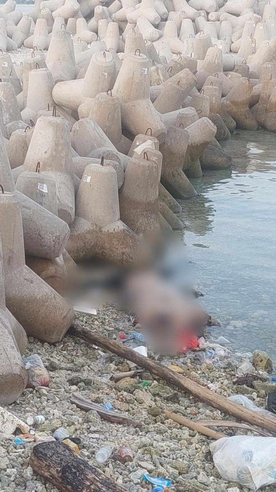 Mayat Seorang Perempuan Ditemukan di Dermaga Pulau Pari, Kepulauan Seribu Selatan