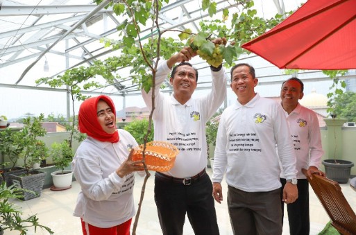 SMAN 13 Jakarta Kelola Budidaya Anggur