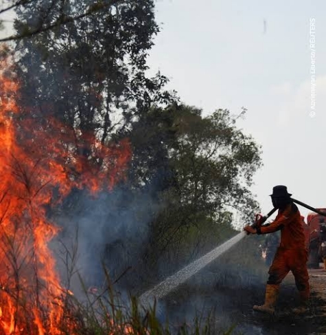 Karhutla Makin Parah, Kabut Asap Mengancam Kalimantan