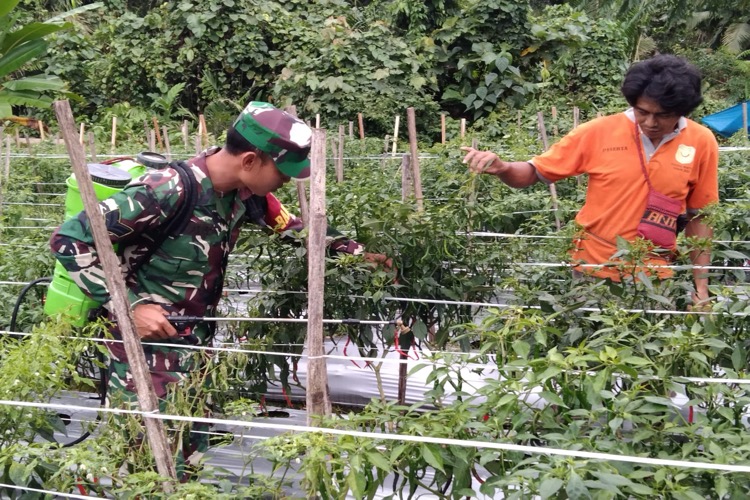 Babinsa Koramil 1710-07/Mapurujaya Laksanakan Komsos Dengan Petani di Wilayah Binaan