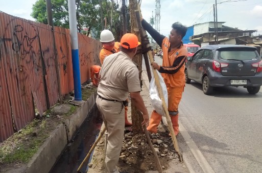 Wilayah Tugu Selatan Ditanami 150 Pohon
