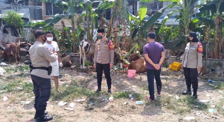 Lakukan Pemantauan Pemotongan Hewan Kurban, Kapolsek Pademangan Selalu Himbau Prokes